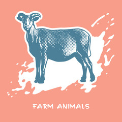 Goat standing - vector graphic illustration. 
Beautiful drawing portrait of a farm animal. Picture in pastel colors is a design element and clip art. 