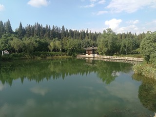 lago limpio verde
