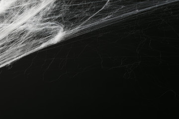 Halloween creepy cobweb spiders web with a black background