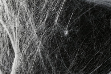 Halloween creepy cobweb spiders web with a black background