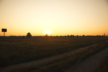 Naklejka premium sunset on a big field with trees in the dark