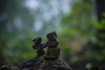 Fototapeta na wymiar Close up stone in forest.