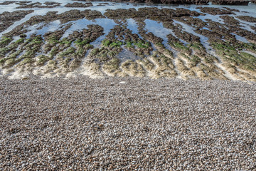 Etretat beach at low tide