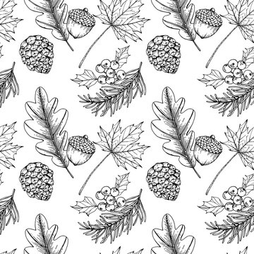 Christmas pattern seamless background. with pine corn, maple leaf, holly, berries, oak, illustration.