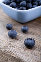 Blueberry Fruit