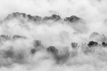 Nebbia sul bosco, Italia