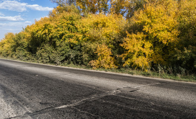 Country landscape. Kazakhstan. Trees along the road. Golden autumn. Indian summer. Autumn landscape. Forest