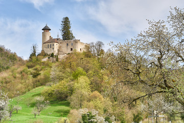 Fototapeta na wymiar Arlesheim mit Schloss Birseck