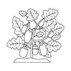 Vector design of greenhouse and plant sign. Collection of greenhouse and garden stock vector illustration.