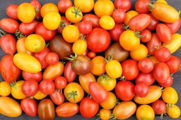 Tomatoes.
