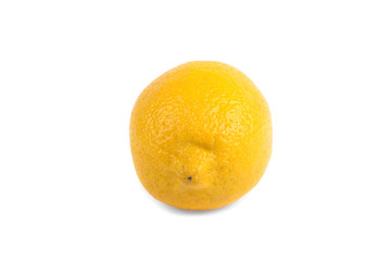 lemon on white background