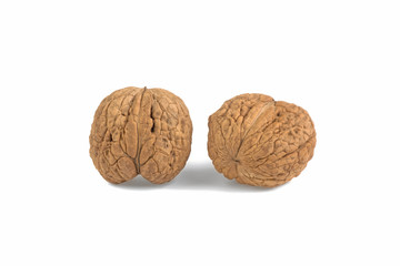 walnut on white background