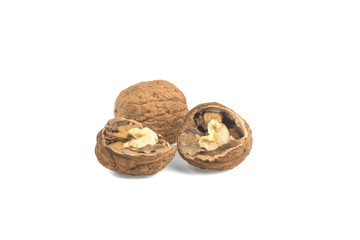 walnut on white background