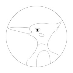 bird woodpecker head vector illustration