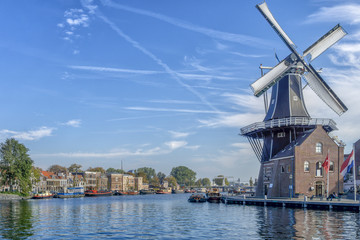 Fototapeta na wymiar Windmühle an der Spaarne in Haarlem