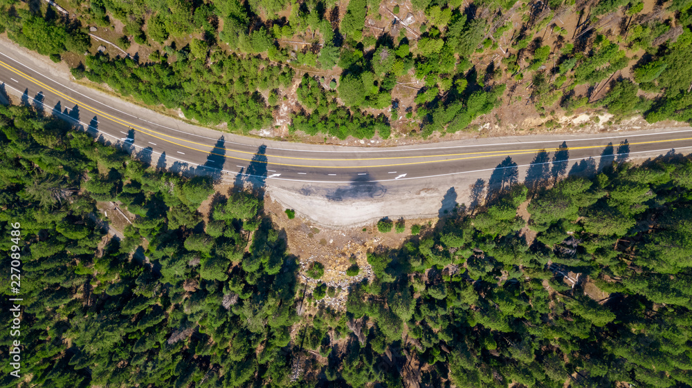 Wall mural drone view of the road crossing the wood uphill the valley going to lake tahoe