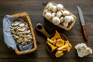 Collect mushroom concept. Champignons, oysters, chanterelles in basket near knife on dark wooden background top view