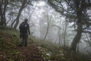 Obraz premium Man from behind - Route in the Wood with Fog - Cold Atmosphere