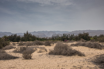 Gran Canaria Desert