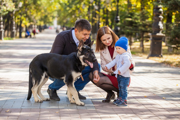 family weekend trip. Mom, dad, son and dog. The first steps of the child. The dog is in the family.