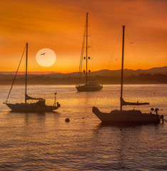 Sunrise at the Harbor