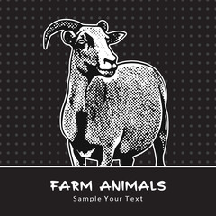 Goat standing isolated on a black - vector graphic illustration. Beautiful drawing portrait of a farm animal. Black and white picture is a design element and clip art. 