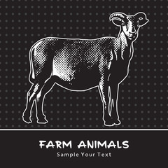 Goat standing isolated on a black - vector graphic illustration. Beautiful drawing portrait of a farm animal. Black and white picture is a design element and clip art. 