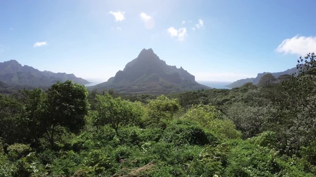 Taking photos of lush Tahiti landscape, POV
