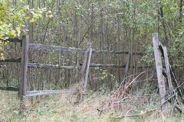 Fototapeta premium old wooden fence
