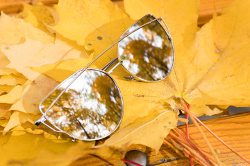 sunglasses lie on yellow autumn maple leaves