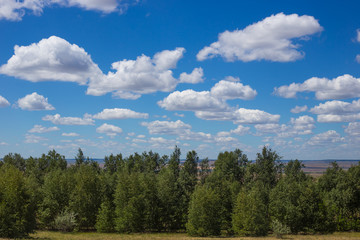 clouds against the blue sky float above the forest