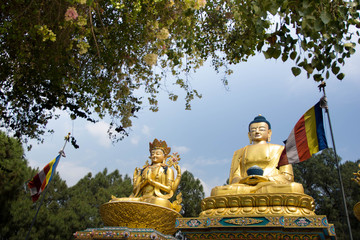 Obraz premium Golden Buddha Statue Nepal
