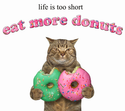 The cat holds two bitten donuts. Life is too short. Eat more donuts. White background.