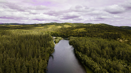 Drone on River in a Forest
