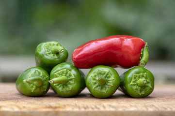 Capsicum annuum Jalapeno chilli hot peppers, group of green and red fruits on wooden cutting board
