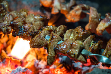 Cooking shashlik in the forest. Grilling pork on coal with smoke
