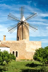 Photo sur Plexiglas Moulins Ancien moulin à grains   Majorque   9335