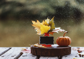 Fototapeta na wymiar Autumn. Autumn composition outdoor. Little pumpkin outdoor. 