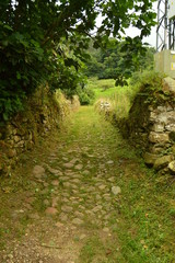 Fantastic Stoned Path On The Route Of The Encantau Camin In The Council Of Llanes. Nature, Travel, Landscapes, Forests, Fantasy. July 31, 2018. Valle De Ardinasa, Venta Village, Asturias, Spain.