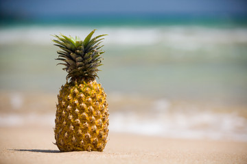 Close up whole pineapple, ananas, on beach, with tropical sea backdrop, and blue sky