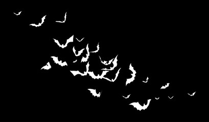 Bats - Halloween Inverse Design. Cute Horror Background With Shadows for Stickers, T-shorts and other