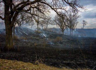 Smolder of controlled savannah burn