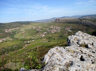 Fototapeta na wymiar Paysage du vignoble bourguignon depuis la Roche de Solutré.