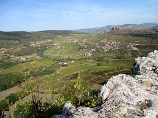 Vue  d'un paysage viticole bourguignon depuis le sommet de la Roche de Solutré 