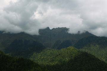 Mountain peak and mountain green forest in the clouds