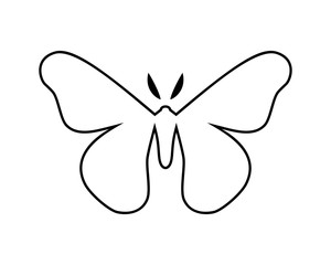 Hyalophora cecropia, cecropia moth stylized vector icon