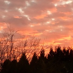 Beau ciel, paysage campagne