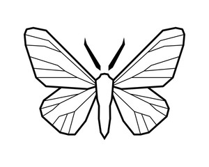Peppered moth, Biston betularia . Vector icon on white