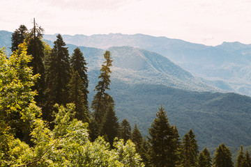 The peak of high mountains. Bright day sun in the mountain autumn forest