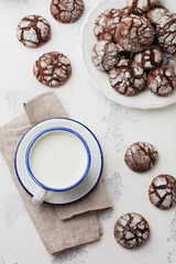 Fototapeta na wymiar Chocolate brownie cookies in powdered sugar. Chocolate Crinkles.